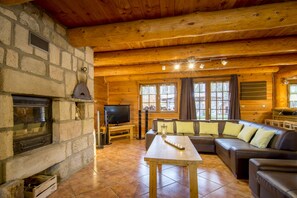 TV, lareira, DVD player, mesa de pingue-pongue