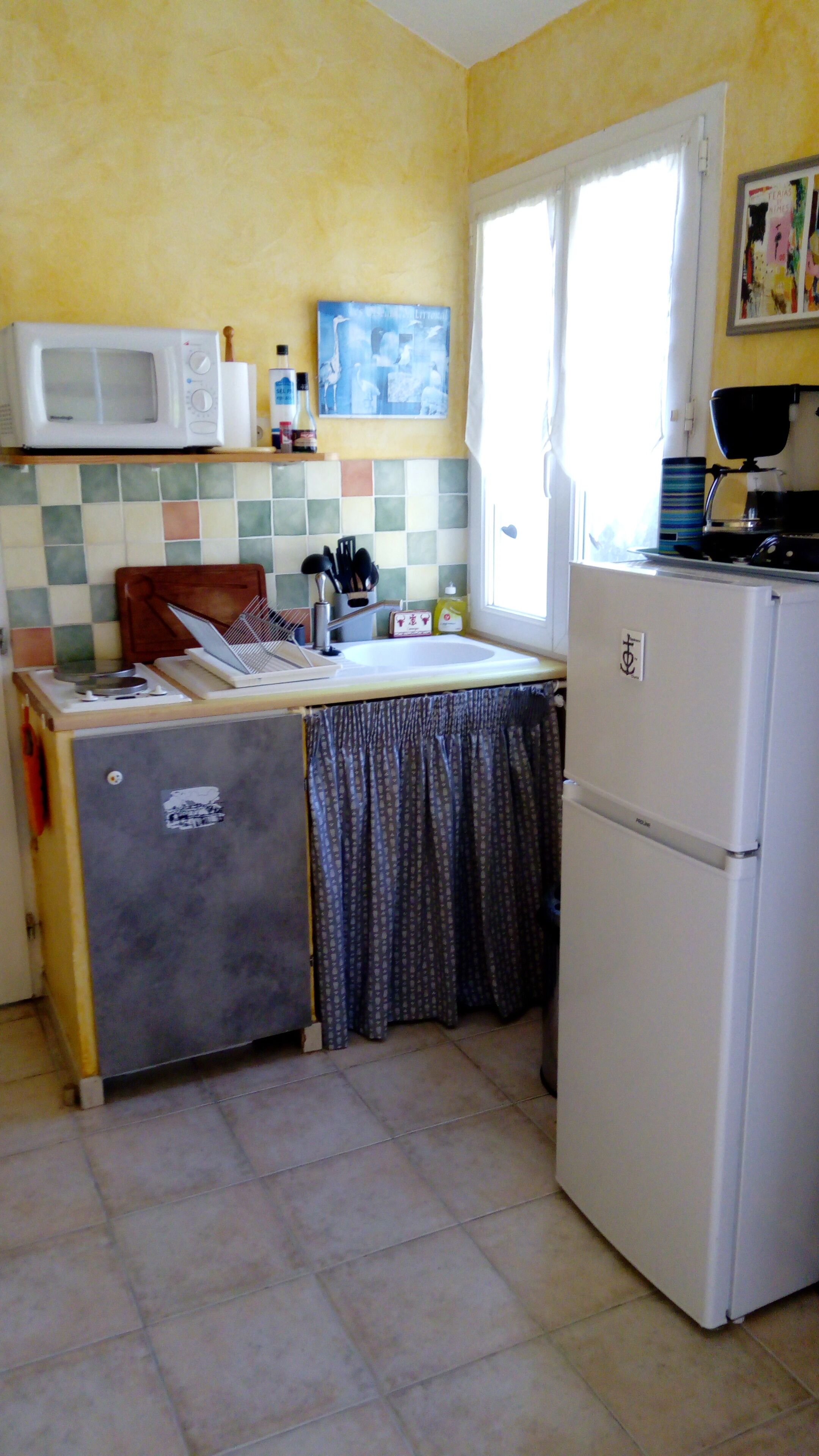 Hut 'camargaise' in border of pine forest: weekly or in the weekend