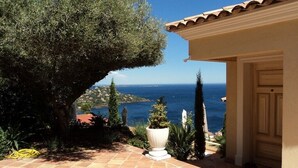 A patio with a view of the sea, a large tree, and a building entrance. - CHARMING STUDIO 28m2 terrace 22m2 PANORAMA MER / MASSIF DE L'ESTEREL (Théoule-Sur-Mer)