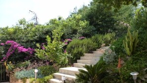 Un conjunt d'escales a l'aire lliure envoltades de vegetació exuberanta i plantes florents.