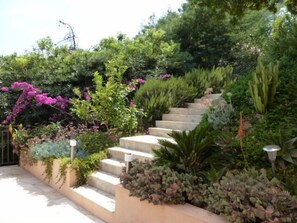 Terrein van de accommodatie