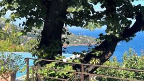 Una terrassa arbrada amb vista al mar i edificis allunyats.