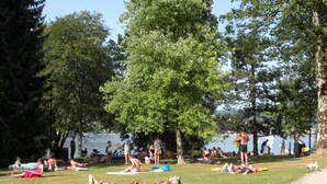 A park with people sunbathing on the grass, trees, and a body of water in the background. - Apartment 4 persons (2*) in character house, garden, quiet, GERARDMER (Gérardmer)