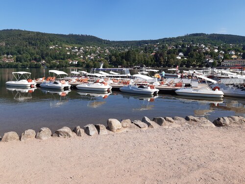 Apartment 4 persons (2*) in character house, garden, quiet, GERARDMER