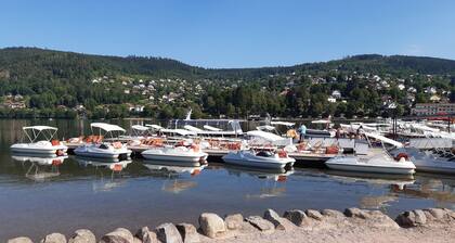 Apartment 4 persons (2*) in character house, garden, quiet, GERARDMER