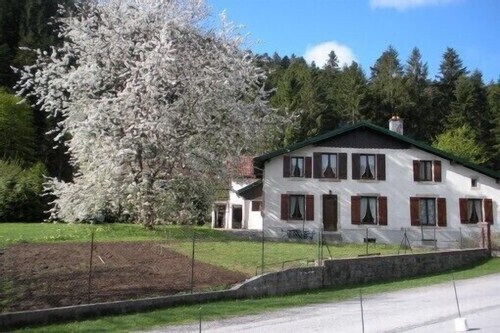 Apartment 4 persons (2*) in character house, garden, quiet, GERARDMER