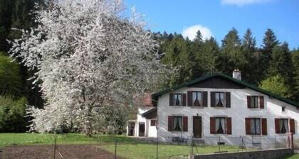 Appartement 4 personnes (2*) dans maison de caractĂšre, jardin, calme, GERARDMER