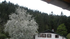A two-story house with a green roof, surrounded by a forest. - Apartment 4 persons (2*) in character house, garden, quiet, GERARDMER (Gérardmer)