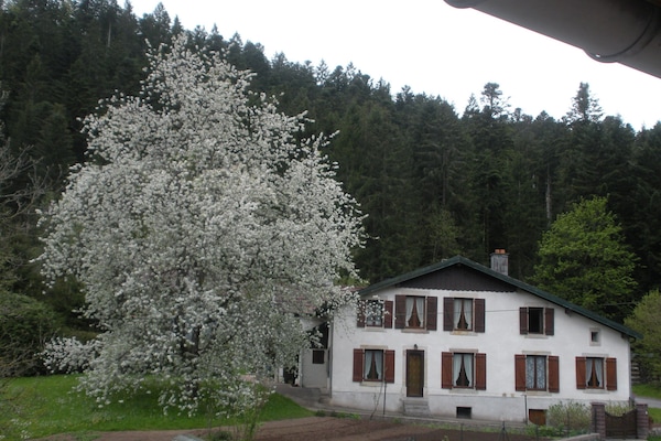 Extérieur au printemps