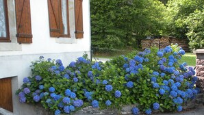 A building with a white exterior and wooden shutters, a hedge of blue hydrangeas, and a stone wall with stacked logs. - Apartment 4 persons (2*) in character house, garden, quiet, GERARDMER (Gérardmer)