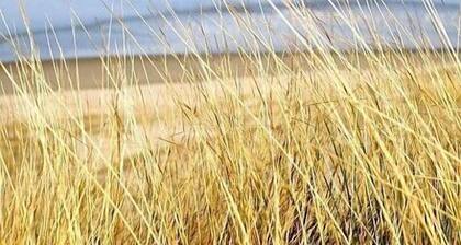 Bel Apt T2 nine of charm 50 meters sea and the center - Wifi - Standing