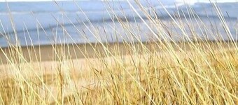 Bel Apt T2 nine of charm 50 meters sea and the center - Wifi - Standing