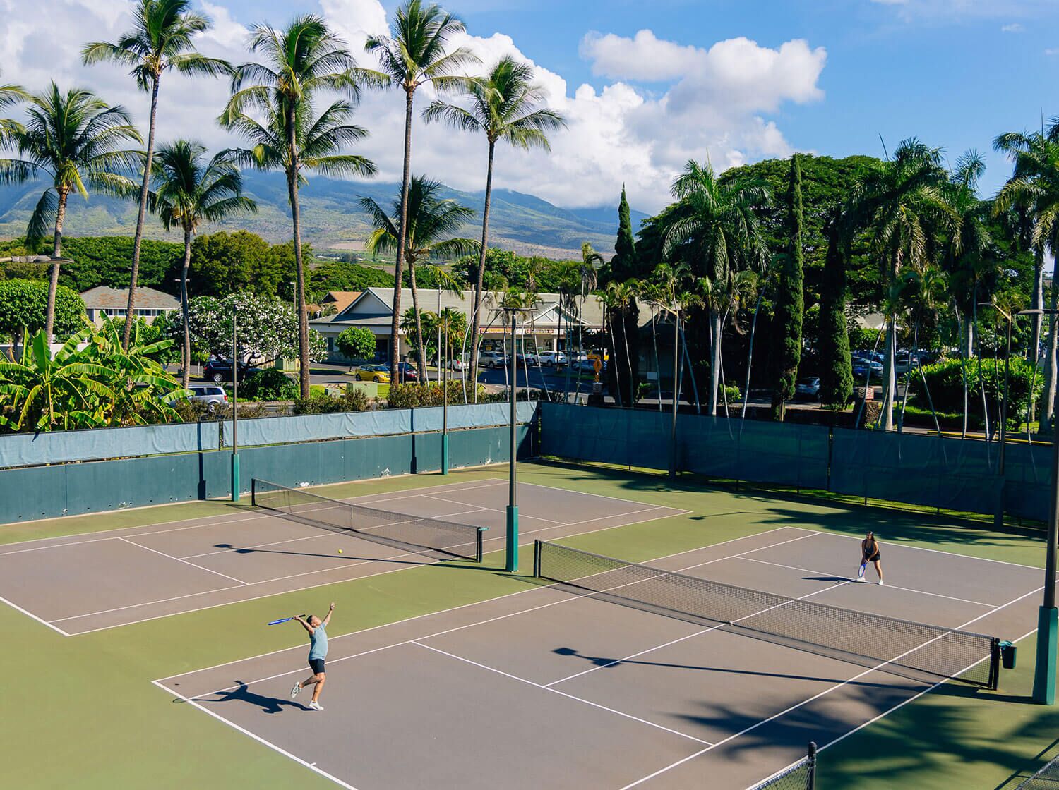 A tennis court with a net, surrounded by palm trees and houses.