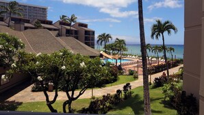 Ein Resort mit Pool, Palmen und Blick auf den Ozean.