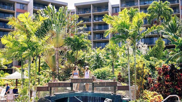 Ein Hotelpoolbereich mit einer Brücke, Palmen und einem mehrstöckigen Gebäude im Hintergrund.