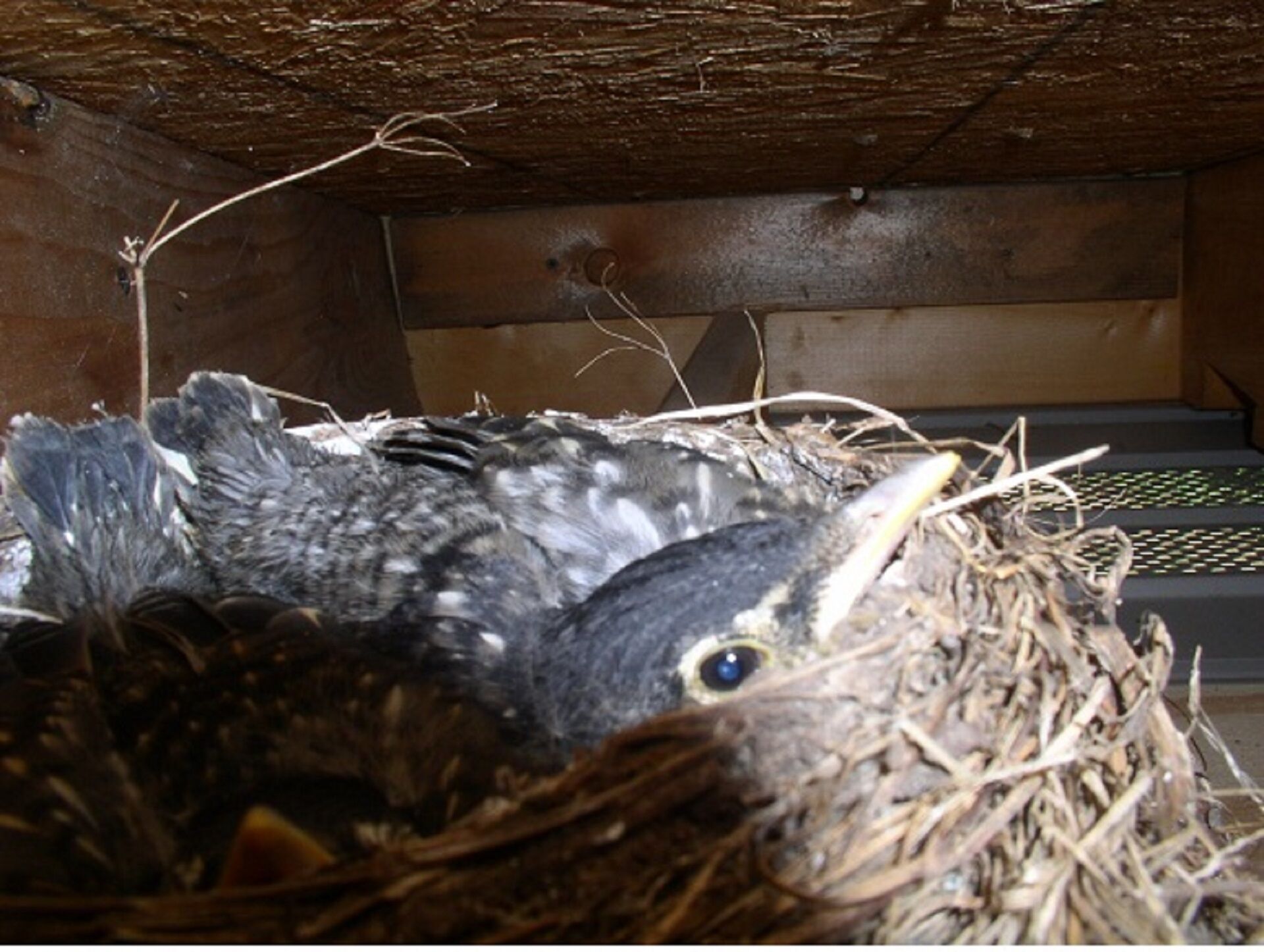 Cabin Retreat Facing A Creek On 30 Acres
