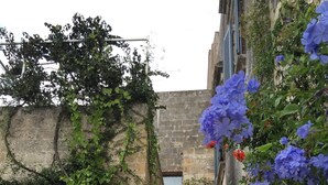 Une cour bordée d’un mur de pierre, dotée d’une entrée en arc de cercle et agrémentée de plantes en fleurs.