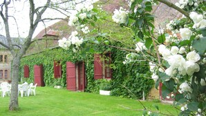 A garden with white flowers, a tree, and a building with red shutters.