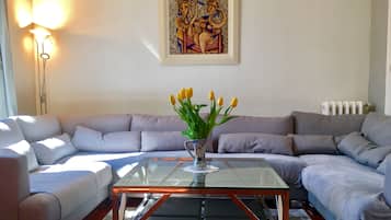 TV, fireplace, DVD player, table tennis