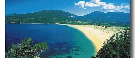 Beach nearby