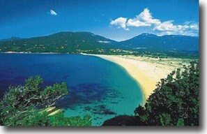 Une plage aux eaux cristallines, un rivage sablonneux et une montagne en arrière-plan.