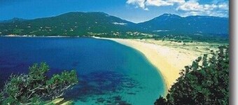 Renting an apartment T3 located in a quiet area of ​​Cargese