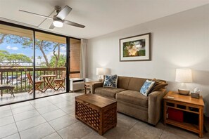 Smart TV, DVD player, books, video library