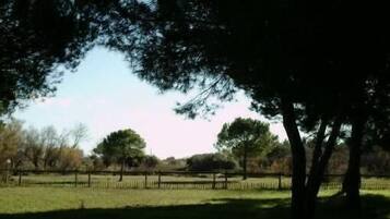 Enceinte de lâhĂ©bergement