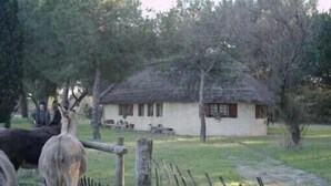 A rustic house with a thatched roof, surrounded by a wooden fence and trees.