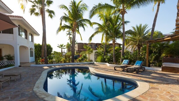 A swimming pool with lounge chairs, surrounded by palm trees and a stone patio.