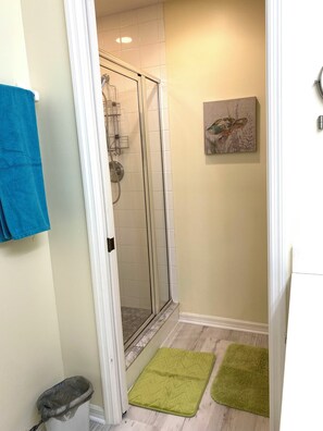 Combined shower/bathtub, hair dryer, towels, soap