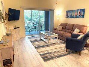 TV, DVD player, books, video library