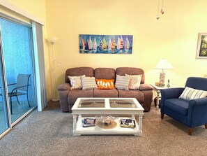 TV, DVD player, books, video library