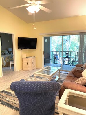 TV, DVD player, books, video library