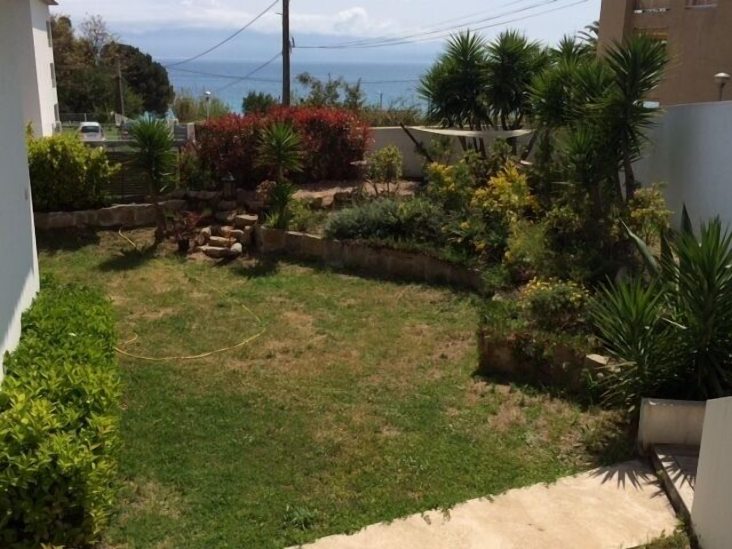 Jardín residencial con césped, diversas plantas y un muro de piedra.