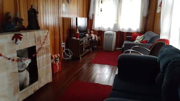 TV, DVD player, books, video library