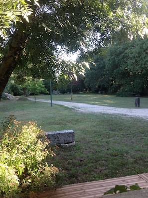 Des arbres, des petits oiseaux, beaucoup d'écureuils et du silence...