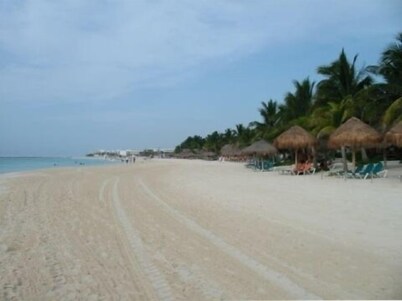 Beautiful 2 Bedroom Condo Steps Away from Beach and 5th Avenue