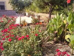 Property grounds - Casa Rural VillaSol in the province of Seville - Lora del Río (Lora del Río Sevilla)
