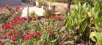 Casa Rural VillaSol in the province of Seville - Lora del Río