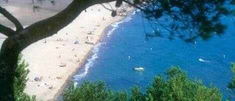 Plage à proximité