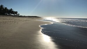 A beach with a curved shoreline, palm trees, and a clear sky. - Private Luxurious Resort Right on the Ocean - Casa De Los Sueños (Puerto Escondido)