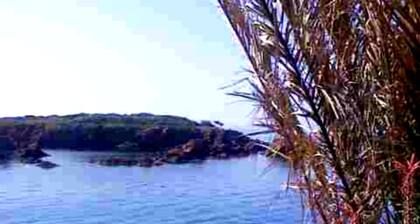 On a private beach, comfortable seafront villa, exceptional location