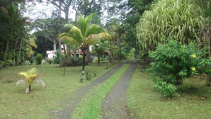 A pathway through a lush garden with various tropical plants and trees. - 2 min from the beach warm welcome in this flowered and wooded park (deshaies)