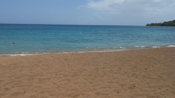 A beach with clear blue water and a sandy shore. - 2 min from the beach warm welcome in this flowered and wooded park (deshaies)