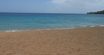 2 Minuten vom Strand entfernt. Herzlich willkommen in diesem blühenden und bewaldeten Park 