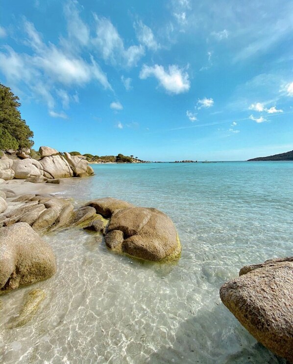 Beach nearby, sun loungers