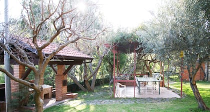 OLIVE TREE CHARMING VILLA: •WiFi •AC •huge garden •sea 'n hills view •porch •bbq