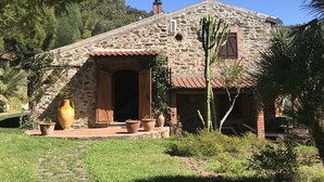 A stone house with a tiled roof, a chimney, and a paved pathway leading to the entrance.