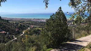 A paved pathway with a view of a coastal landscape, including a tree and a distant town.